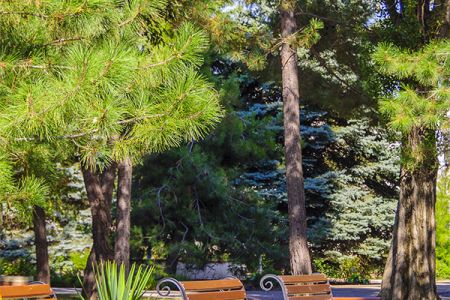 Вид лечебного корпуса