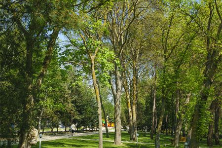 Вид лечебного корпуса