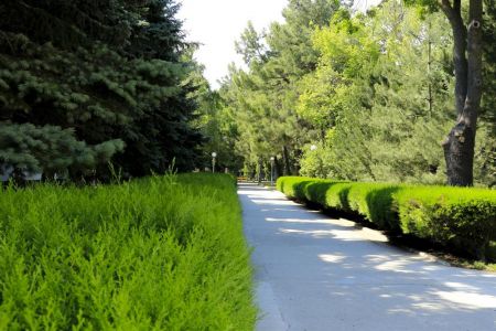 Вид лечебного корпуса